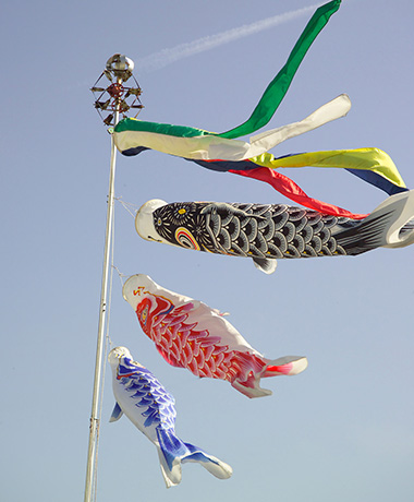 Koinobori